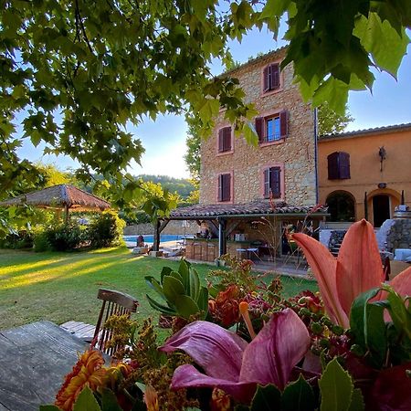 Bed and Breakfast Domaine De Sainte Annette Callian  Exterior foto