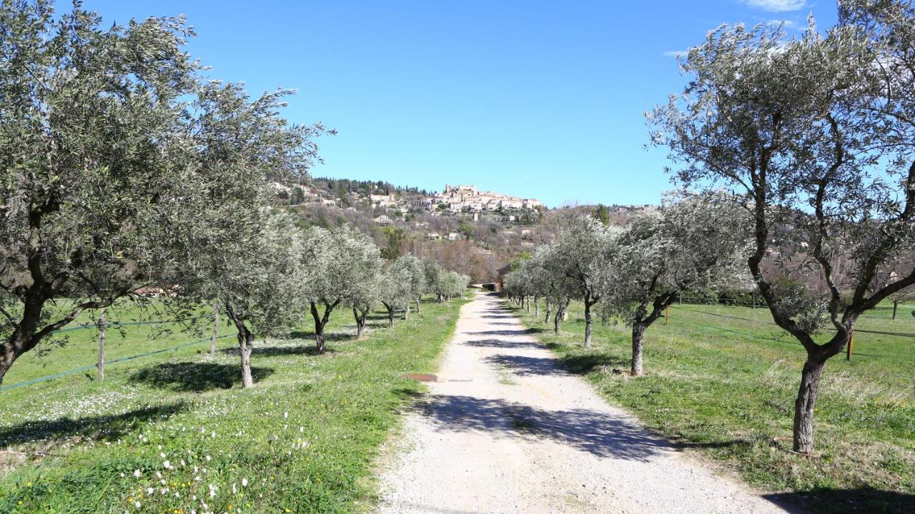 Bed and Breakfast Domaine De Sainte Annette Callian  Exterior foto